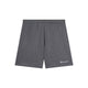 CHAMPION BERMUDA กางเกงผู้ชาย - Rev Online